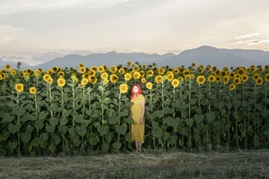 60 χρόνια ΜΙΕΤ: Δύο ξεναγήσεις στην έκθεση τον Μάρτιο - εικόνα 2
