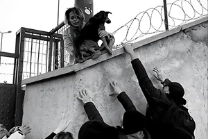 Δωρεάν εργαστήρια στην Εθνική Βιβλιοθήκη της Ελλάδος - εικόνα 1