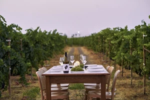 Παγκόσμια Ημέρα Οινοτουρισμού 2025: Oινοποιεία και εκδρομές για να τη γιορτάσεις καταλλήλως - εικόνα 8