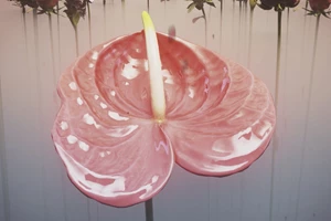 "Αυτοί οι Τρελοί Τρελοί Παραγωγοί" σε δωρεάν προβολή αυτήν τη Δευτέρα - εικόνα 1