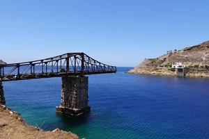 WWF: Φέτος φωνάζουμε όλοι "Κάπου γόπα" - εικόνα 1