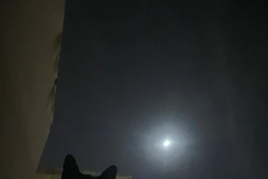 "Silent Night – Dark Times": Μια βραδιά αφιερωμένη στον παλαιστινιακό λαό - εικόνα 1