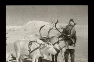 Father Mother Sister Brother: Όσα έγιναν στη μυστική προβολή της νέας ταινίας του Τζιμ Τζάρμους - εικόνα 12