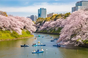 Πόλος έλξης για τους Ιρλανδούς η Ελλάδα με "πυξίδα" την Αθήνα - εικόνα 2