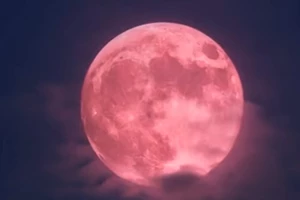 Οι πολιτιστικές διαδρομές και οι θεματικοί περίπατοι του Απριλίου από Thessaloniki walking tours - εικόνα 4