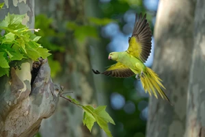 Ο Γκόρντον Ράμσεϊ ανοίγει γαστροκαφενείο στα Σεπόλια - εικόνα 1