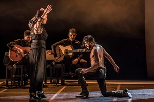 Τι κάνει... "(κρότο)" στο Ίδρυμα Μιχάλης Κακογιάννης; - εικόνα 5