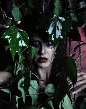 Η Κατσαρίδα Κ.