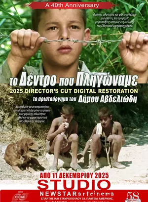 Το Δέντρο που Πληγώναμε