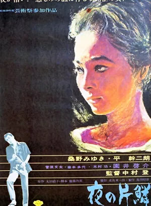 The Shape of the Night