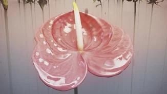 Like wildflowers in the cracks στο Ίδρυμα Β. & Μ. Θεοχαράκη