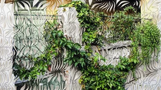 Μια συζήτηση για την "All Included" έκθεση της Μαρίας Οικονομοπούλου