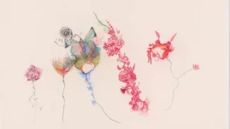 "Belly of the Fish": Αναζητώντας την εξέλιξη μέσα σε έναν κόσμο γεμάτο σουρεαλισμό