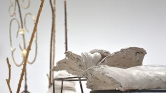 Στο "An Evening Botanist", η τέχνη συνδέεται με τη θεραπεία και τη σωματική επιθυμία