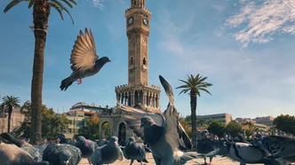 Ιόνια Διαδρομή: Από τη Σμύρνη στα μυστικά της αρχαίας Ιωνίας