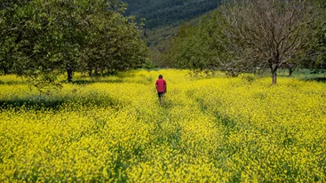 Στο "Σπόρο", οι άνθρωποι μεταμορφώνουν τους τόπους τους