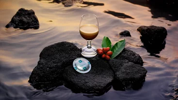 Υψηλή γαστρονομία και καφές: αρώματα και γεύσεις που συνδυάζονται