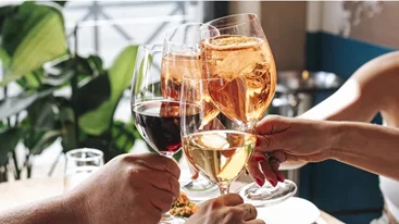 Οινικά ταξίδια και μουσικές βραδιές στα ViBo τον Οκτώβριο