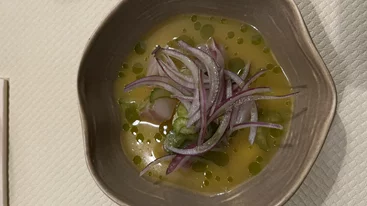 Comfort εξωτισμός στο "Mayan"