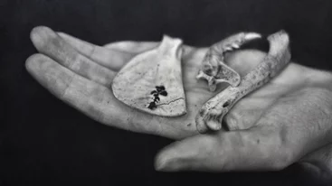 Η Πολυδραστική Εικαστική Έκθεση "ΕΚ-Πατρίδες" στην Αμαξοστοιχία-Θέατρο το Τρένο στο Ρουφ προσεγγίζει έννοιες που απασχολούν τις σύγχρονες κοινωνίες