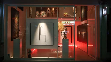 Μια "κοσμογονία" ζωγραφικής στην ANiMA Gallery