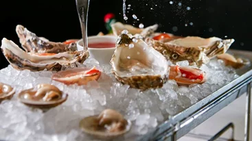 Δουράμπεης Oyster