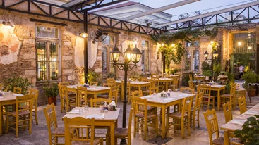 "Το Αυγό του Κόκκορα"