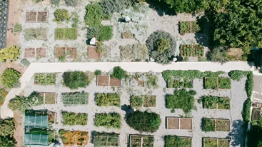 Μια μέρα από τη φάρμα στο τραπέζι του "Soil"