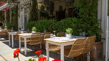 "Ψαράδες": Στον αφρό της δημιουργικής ψαροφαγίας