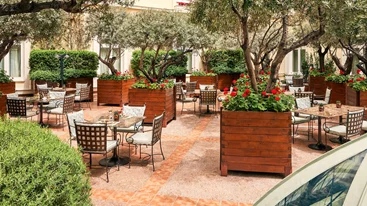 ''The Atrium of Alexander's Lounge''