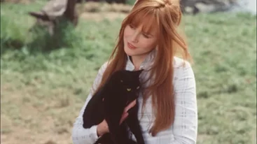 Απόψε (15/12) στην TV: Σάντρα Μπούλοκ και Νικόλ Κιντμαν