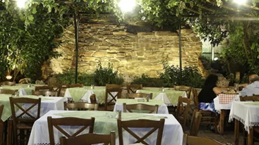 Παρουσίαση: Κολοβός