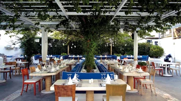 Χρώματα  βυθού