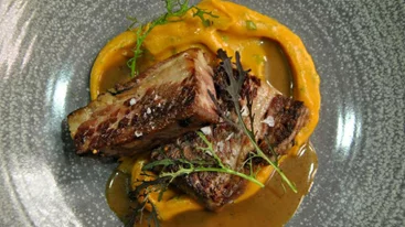 «Mayor»: Κομψό all-day Κολωνάκι 