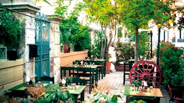 Ασβεστόλακος