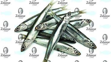 «Ζήσης» με ψαράκι (και) στο χωνάκι 