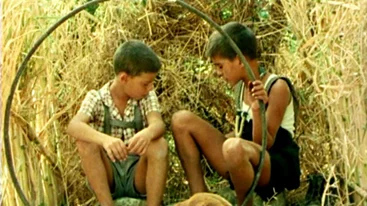 Το Δέντρο που Πληγώναμε