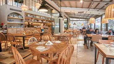 Μπαρμπουνάκι διά χειρός Παπαϊωάννου