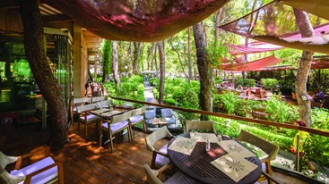 Το «Piu Verde» είναι μία αυθεντική τρατορία στη δροσιά του Παπάγου