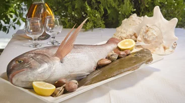 «Νησιώτισσα»: Καθαρός αέρας και ψαρονοστιμιές στη βεράντα της Πεντέλης