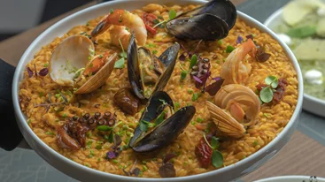 Τα nice n easy παίζουν "Lyra"