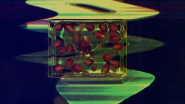 "Για πολλά χρόνια κοιμόμουν νωρίς": Η Νάνα Σαχίνη σε ένα βιωματικό workshop-ταξίδι στη μνήμη της παιδικής ηλικίας