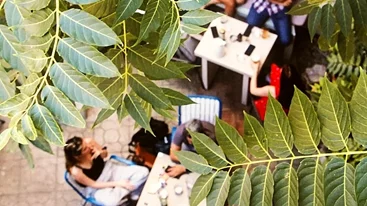 Τα μπαρ των αθηναϊκών αυλών