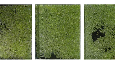 "Trails of Voices": Μοναχικούς περιπάτους στη φύση ζωγραφίζει ο Χρήστος Κεραμάρης