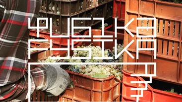 ΦΥΣΙΚΑ FYSIKA: Οι παράλληλες δράσεις του φεστιβάλ κρασιού