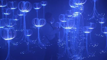 Πάρε μέρος στο Athens Digital Arts Festival 2026