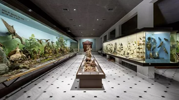 Δωρεάν στο Εθνικό Μουσείο Φυσικής Ιστορίας Γουλανδρή, το πρώτο Σάββατο του μήνα