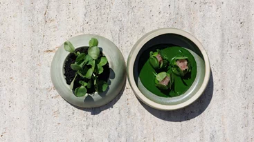 Το 'Pelagos' βάζει Σίφνο, Σαντορίνη και Νάξο στο πιάτο