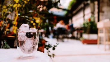 'Black Duck Garden': Στον κήπο με τα cocktails της Μαίρης