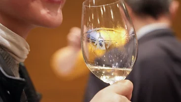 Τα κρασιά της Πελοποννήσου στην Αίγλη Ζαππείου